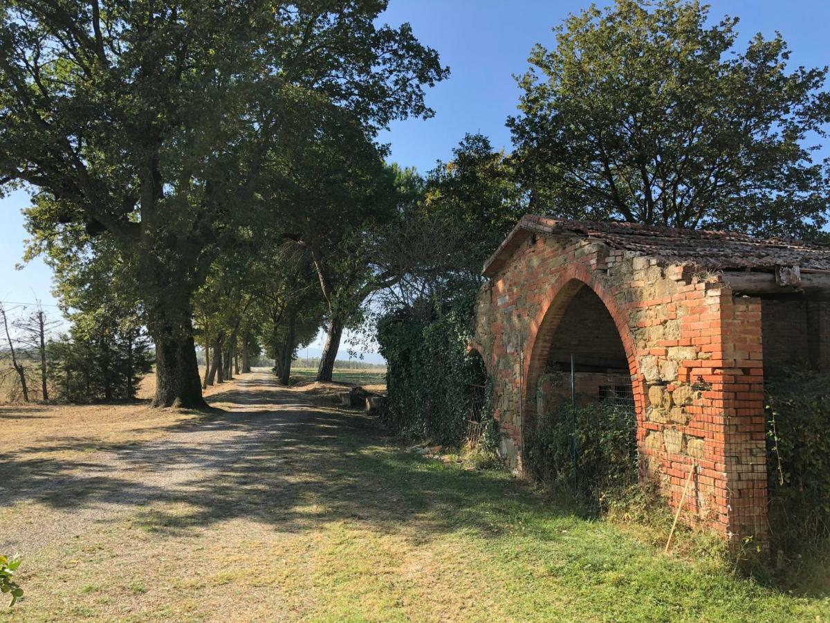 Alberoro Antico Casale Silviaヴィラ エクステリア 写真